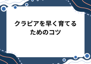 クラピアを早く育てるためのコツ