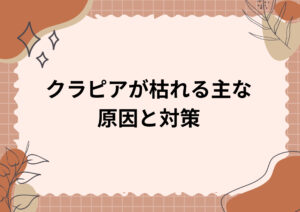 クラピアが枯れる主な原因と対策