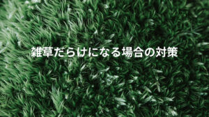 クラピアが雑草だらけになる場合の対策