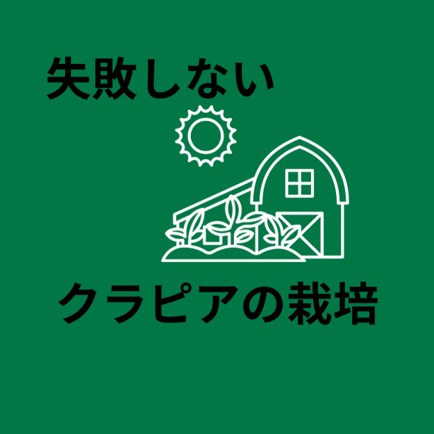 クラピアの栽培: 失敗しないためのベストプラクティス